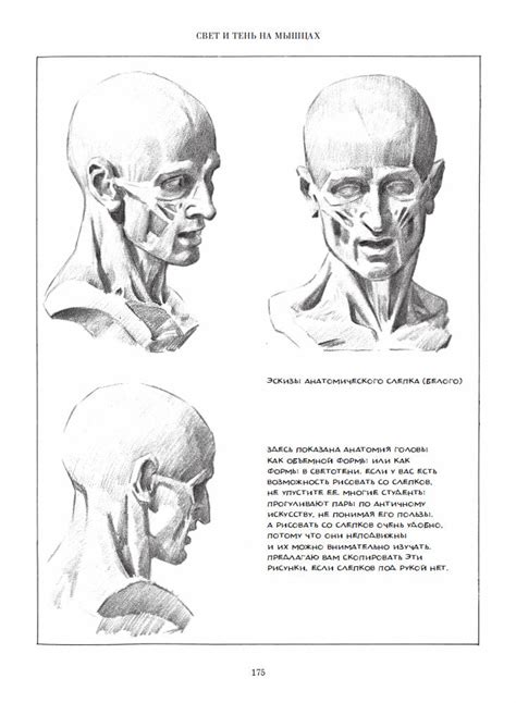 Loomis A. / Лумис Э. - Рисование фигуры [2017, PDF, RUS] :: RuTracker.org