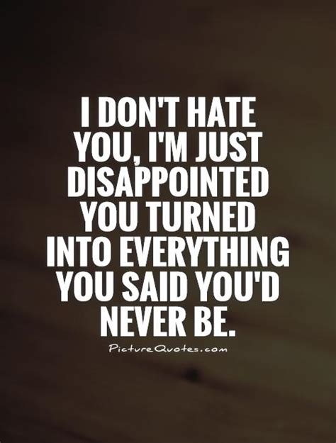 I Dont Hate You Quotes. QuotesGram