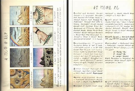 Codex seraphinus libro completo en 2020