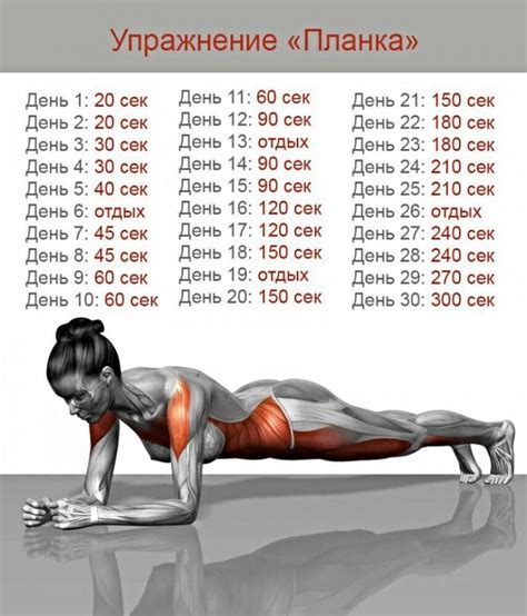 uprazhnenie-planka-foto_-1 | Workout bauch, Fitness workouts, Richtig ...