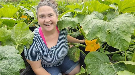 garden sex ed    hand pollinate squash zucchini