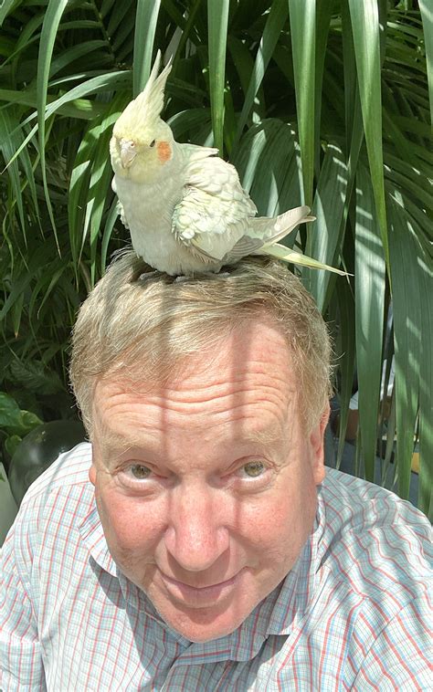 guide to cockatiel scared fast