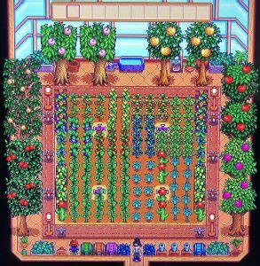 Stardew Valley: How to Build the Perfect Greenhouse Layout