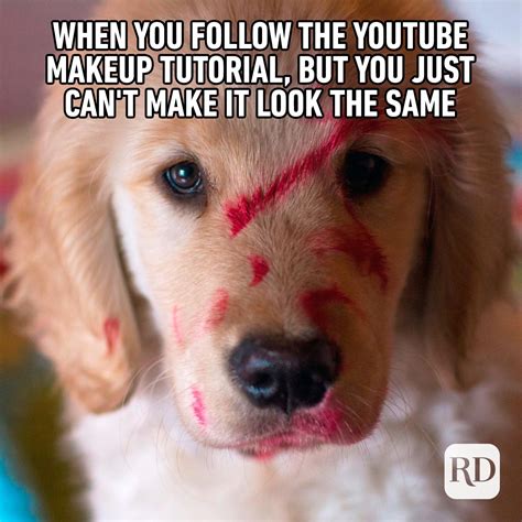 funny  memes  funny memes  life  retail  image collection