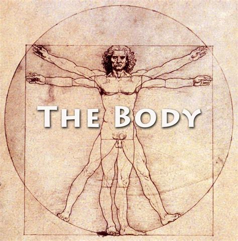 The Body - N-lightenment