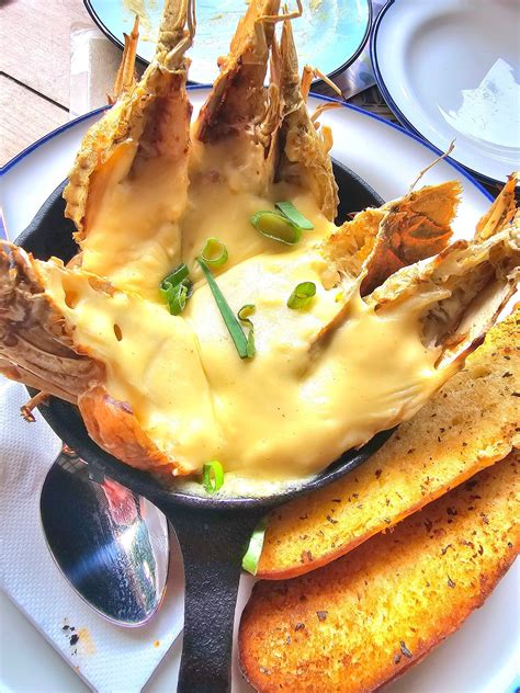 Hidden Cove Hamilton Island - Discovering Paradise