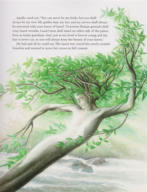Daphne And Apollo Tree