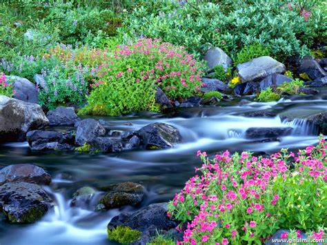 Beautiful Nature Scenery Wallpaper - WallpaperSafari
