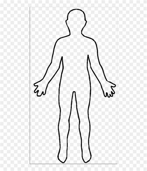 Human Body Outline Picture - Human Body Outline - Free Transparent PNG