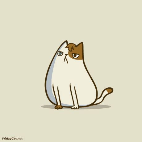 funny humor gif | WiffleGif