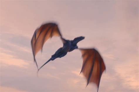 Who is Tessarion, the Blue Queen in House of the Dragon? - Wiki of Thrones