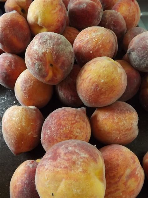 Michigan Peaches | Simply Grateful Housewife