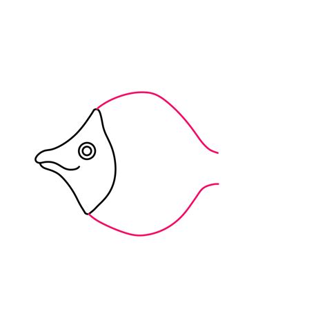 angelfish drawing simple 3
