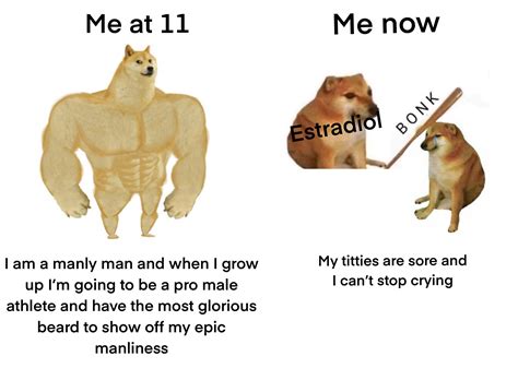 My chest is still flat too : r/traaaaaaannnnnnnnnns