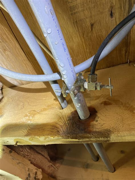 Skinny black tube coming off main water line leaking. What is it? How
