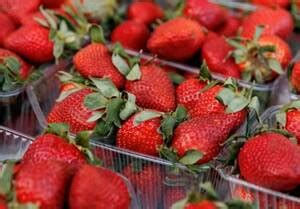 Выяснилась загадка брянской клубники по 1000 рублей за килограмм