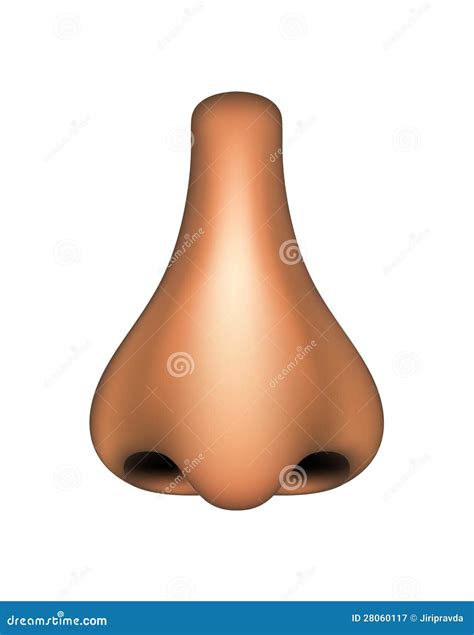 Human Nose Royalty Free Stock Photography - Image: 28060117