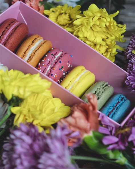 Farina Bakery | Handcrafted Macarons, Pastries, Cupcakes and Cake Slices