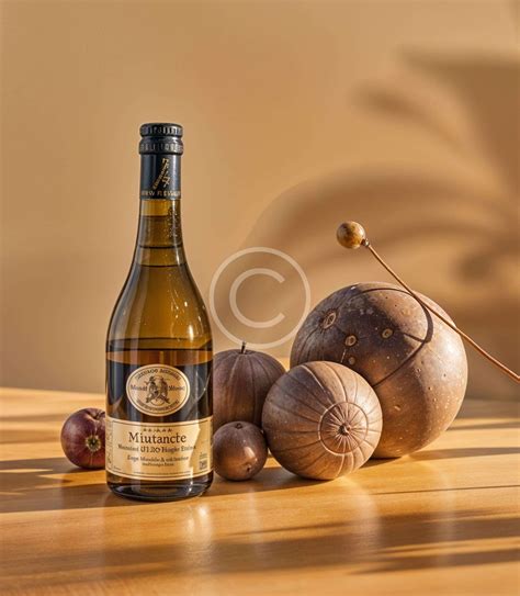 Discovering hidden gem wine shops in France – Tago drinks