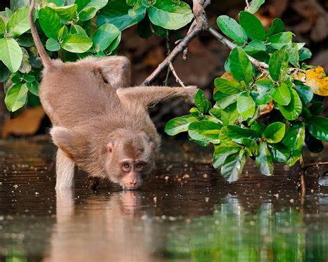 Curvy+Asian+Women Photos, Download The BEST Free Curvy+Asian+Women