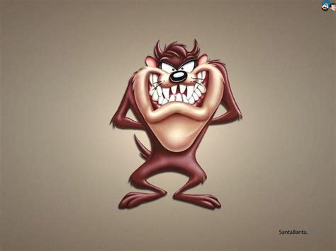 Tasmanian Devil Wallpapers - Top Free Tasmanian Devil Backgrounds ...