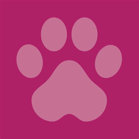 Rumford Pet Express | Cumberland RI