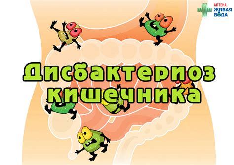 Дисбактериоз. Кратко о важном. Что за болезнь и как лечить