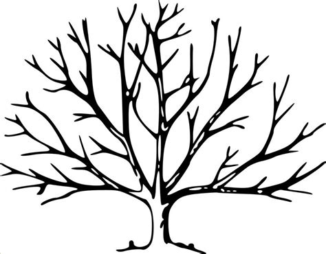 Bare Tree Template | Printable Tree Stencil for Art and Crafts