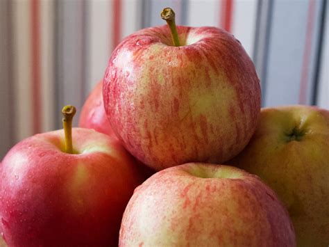 apel bergaris matang bidikan closeup apel  varietas gala