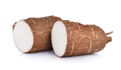 nak beli ubi kayu tapi tak pandai pilih   petua memilih ubi