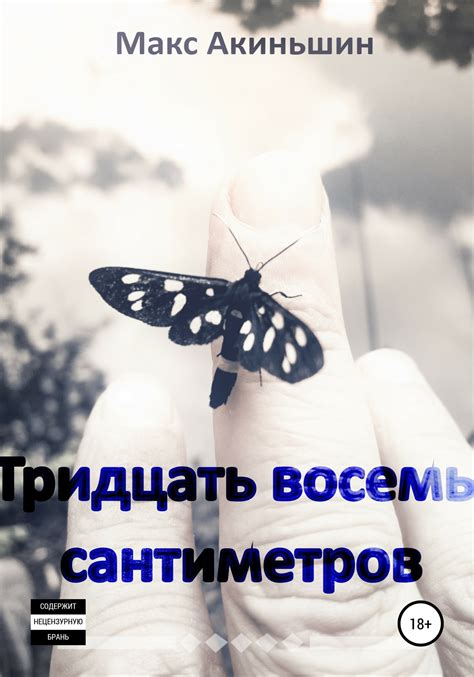Тридцать восемь сантиметров (fb2) | Флибуста