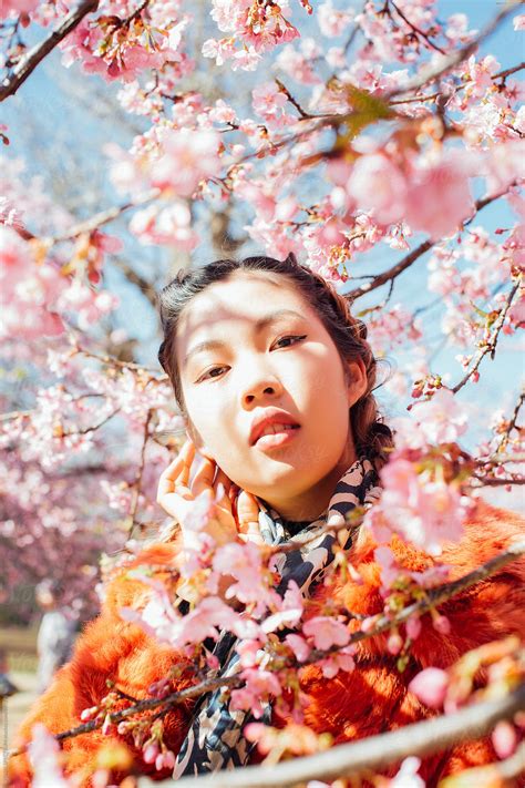 "Blossoming Sakura Tree Throwing Shadows On Face Of Pretty Young