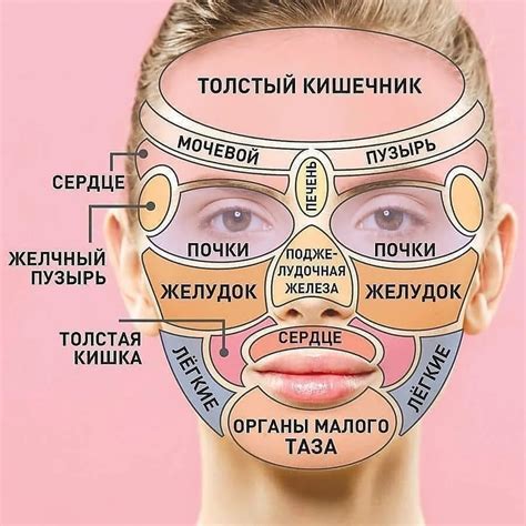 Карта прыщей на лице и болезни внутренних органов у мужчин и женщин