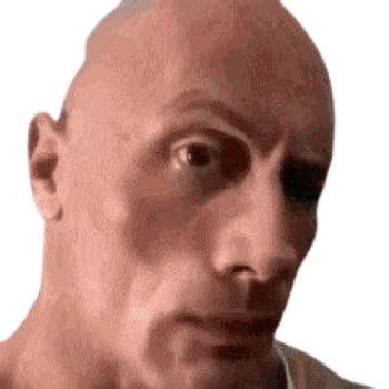 rock roblox evade wiki fandom