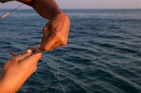 Catching Live Bait: All You Need to Know