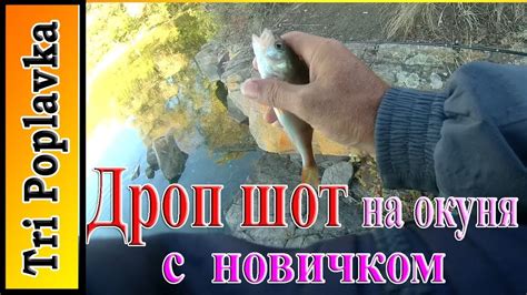 Дроп шот на окуня с новичком. - YouTube