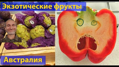 Экзотические фрукты и овощи в Австралии. (видео 191) - YouTube