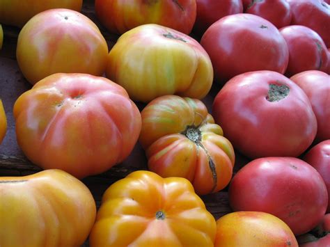 Twisted Basics | Laugh, Cook, Eat!!