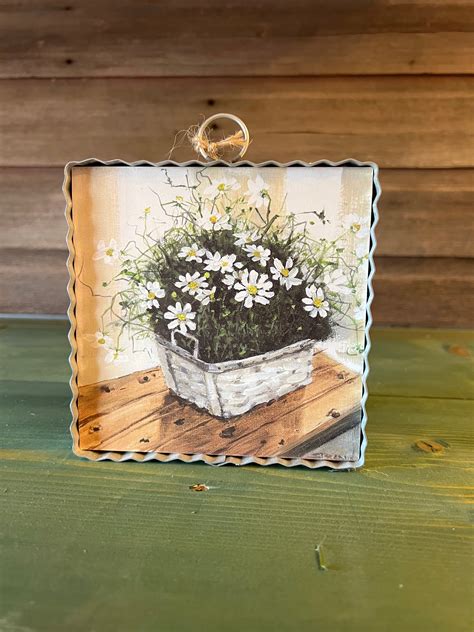 Gallery Cosmos Daisy – The Secret Garden