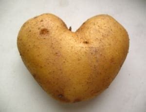 brown potatoes  image peakpx