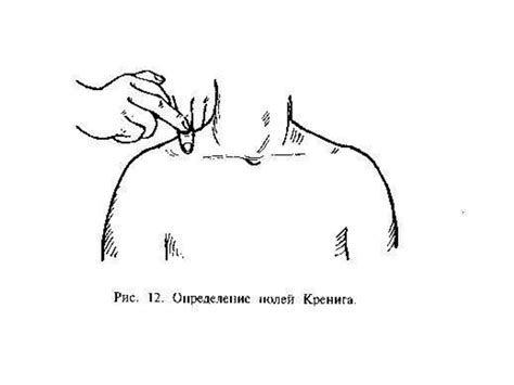 Методы исследования дыхательной системы - презентация онлайн