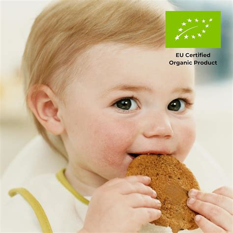 Paquete de cereales para bebés de trigo sarraceno de MODOVIK. Incluye