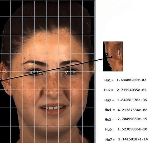 An image of 64 patches; a Hu-feature vector is extracted per patch ...