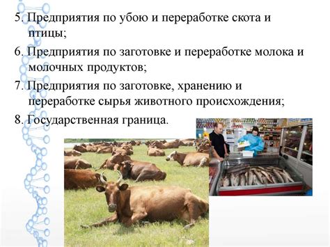Организация государственного ветеринарного надзора - презентация онлайн