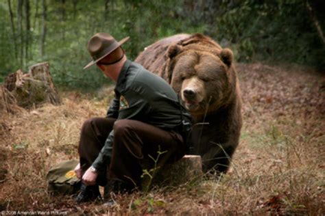 Medvěd Grizzly - Grizzly Park - POSTAVY.cz