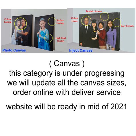 professional portrait  capture   stand  portrait