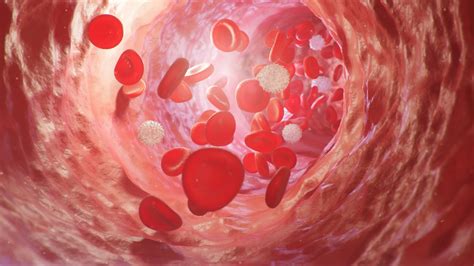 Как се лекува анемия при възрастни? | Biotica.bg