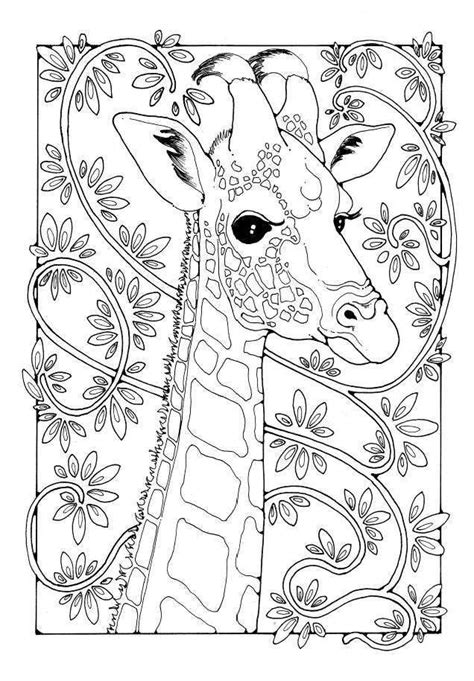 Giraffe : A Colouring Book of Pictures and Patterns (Pictures to Colour ...