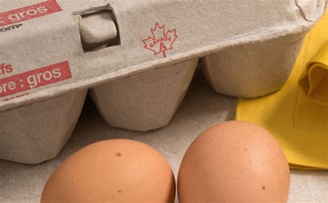 Here’s how to identify Canadian eggs | Egg Farmers of Canada