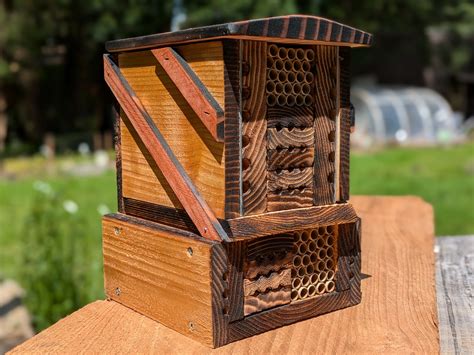 mason bee house 13